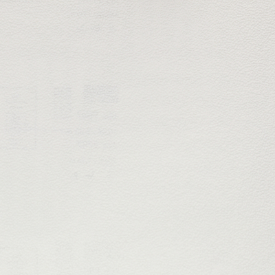 rapport