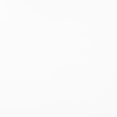 rapport
