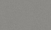 rapport